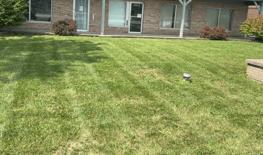SOD INSTALLATION